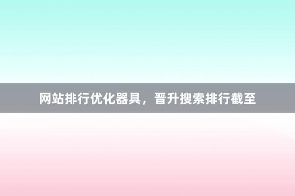网站排行优化器具，晋升搜索排行截至